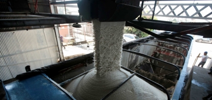 Maior produtor de açúcar da Índia eleva preço da cana em 7,9%