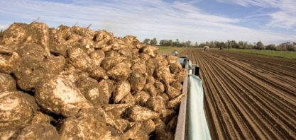 Produção de açúcar da Ucrânia deve avançar 27% em 2021/22