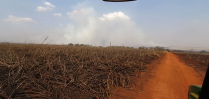 Para reduzir as perdas nos canaviais incendiados, confira o manejo nutricional adequado