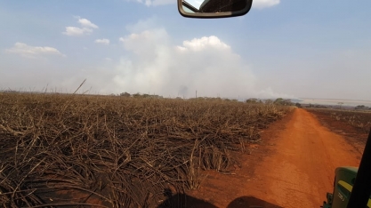 Para reduzir as perdas nos canaviais incendiados, confira o manejo nutricional adequado