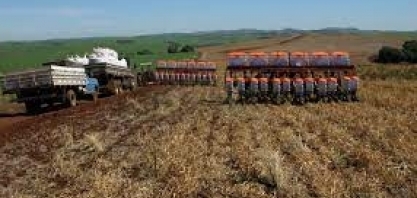 Dada a largada ao plantio de 72 milhões de hectares