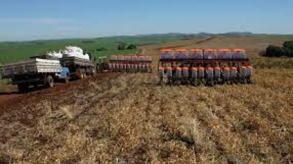 Dada a largada ao plantio de 72 milhões de hectares