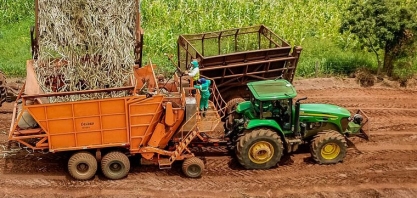 Do campo à indústria: rastreio de matéria-prima atende demandas do mercado por sustentabilidade e eficiência