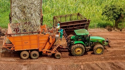 Do campo à indústria: rastreio de matéria-prima atende demandas do mercado por sustentabilidade e eficiência