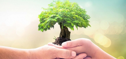 Usinas preservam mais de 121 mil hectares de vegetação, equivalente à área da cidade do Rio de Janeiro