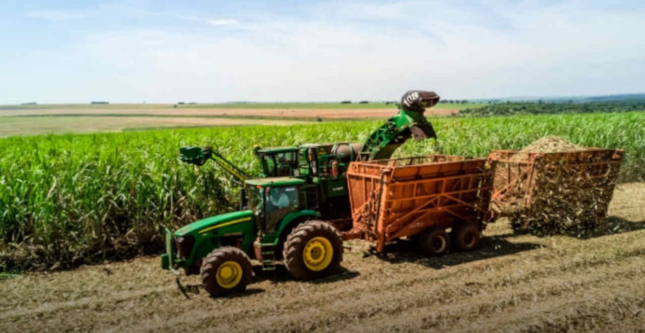 Safra de cana muito prejudicada sacrificou a produção de etanol (Imagem: Reprodução/Adecoagro)