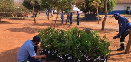 WD Agroindustrial comemora Dia da Árvore em parceria com o IEF