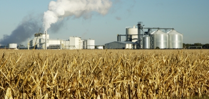 EUA pode diminuir milho no combustível e derrubar demanda