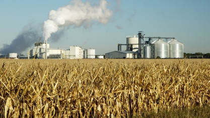 EUA pode diminuir milho no combustível e derrubar demanda