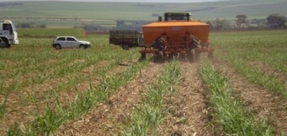 Fertilizantes: Yara inicia projeto de produção de amônia verde em Cubatão (SP)