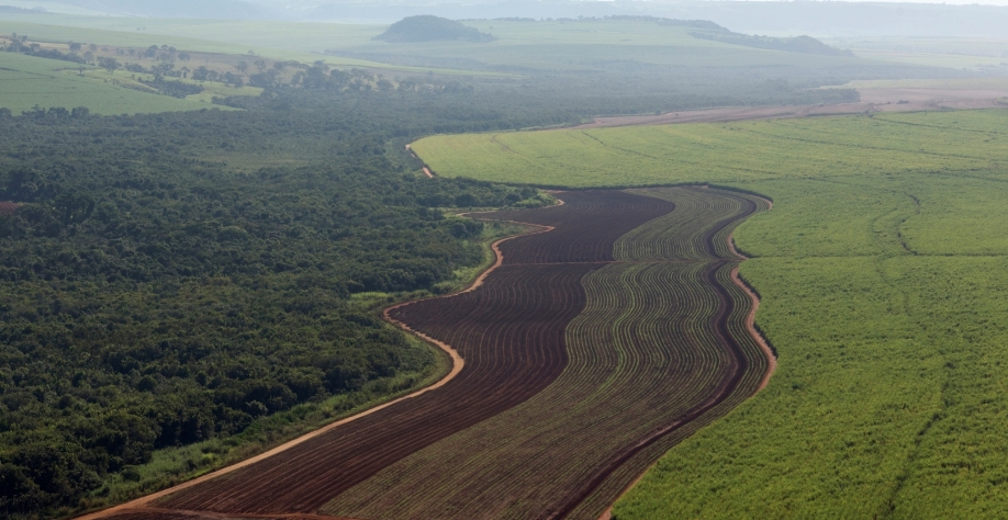 Vista aérea de área agrícola de uma das usinas associadas da Copersucar mostrando a integração com o meio ambiente (Foto: Na Lata)
