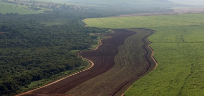 Usinas da Copersucar preservaram área ambiental do tamanho da cidade do Rio de Janeiro