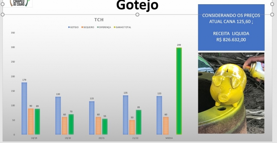 Comparação de Leonardo de produtividade em cada sistema de irrigação