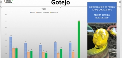 Irrigar cana pelo sistema de gotejamento compensa?