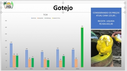 Irrigar cana pelo sistema de gotejamento compensa?
