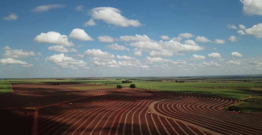 Na Fazenda São Fernando, Alexandre Landim Garcia aposta no uso de novas tecnologias aliadas ao “arroz com feijão” bem-feito