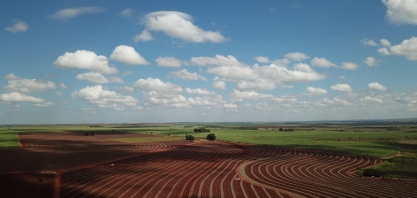 Construção do perfil do solo e adubação biológica são os segredos da alta produtividade de produtor sul mato-grossense