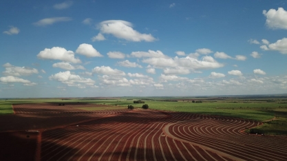 Construção do perfil do solo e adubação biológica são os segredos da alta produtividade de produtor sul mato-grossense