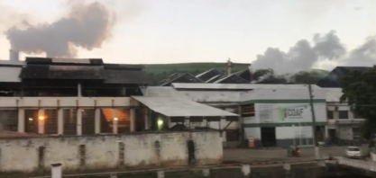 Com agosto chuvoso, Coaf começa moagem com expectativas melhores