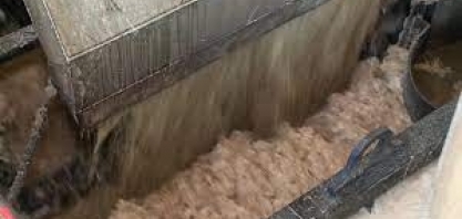 Empresa no Piauí investe em adubação e irrigação e tem recorde na safra de cana de açúcar