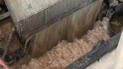 Empresa no Piauí investe em adubação e irrigação e tem recorde na safra de cana de açúcar