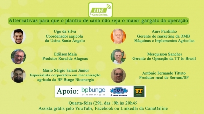 Plantio de cana-de-açúcar é tema de live da CanaOnline