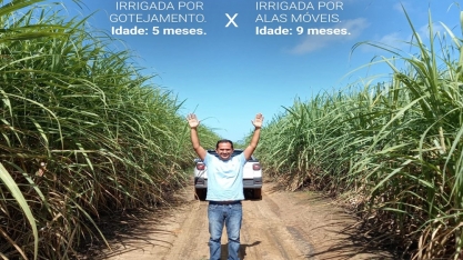 Irrigação por gotejamento eleva produtividade de canavial alagoano de quarto corte para 150 tch