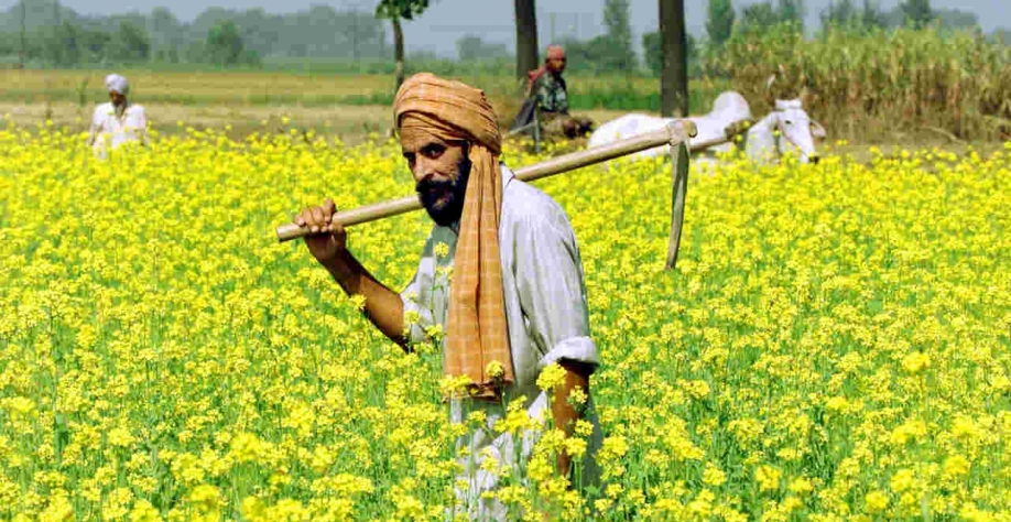 O imposto de importação básico sobre tipos refinados de óleo de palma, óleo de soja e óleo de girassol foi reduzido de 37,5% para 32,5% (Imagem: REUTERS/Kamal Kishore)