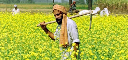 Índia reduz impostos de importação de óleos vegetais para esfriar preços