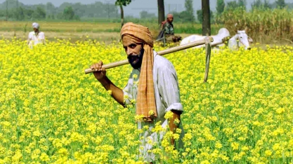 Índia reduz impostos de importação de óleos vegetais para esfriar preços