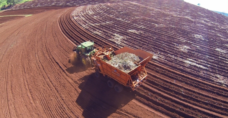 A utilização da plantadora automatizada de cana tem sido fundamental para Toninho Tittoto obter bons resultados no plantio mecanizado. Foto: Divulgação DMB