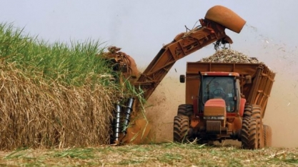Comissão Técnica de Cana-de-açúcar discute rentabilidade entre as culturas