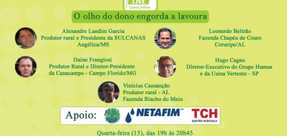 Produtor alagoano aposta no replantio e tratos culturais para “ressuscitar” áreas e alcançar alta longevidade