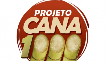Projeto Cana1000: produtividade do setor canavieiro em pauta