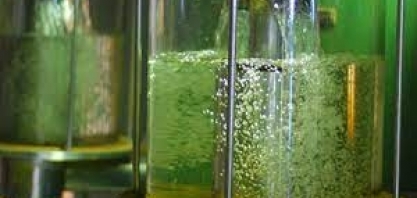 Redução de ICMS deve atrair investimento de R$ 5 bilhões em MT