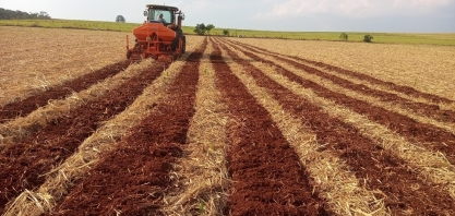 Redução do risco de incêndio integra “pacote” de benefícios gerado pela incorporação da palha