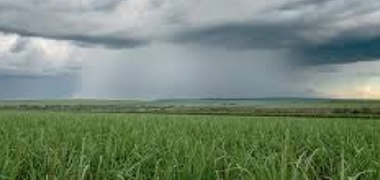 Primavera deverá ser marcada por chuvas irregulares, diz Inmet