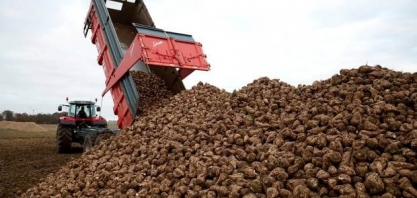 Associação alemã vê aumento de produção de açúcar nesta temporada
