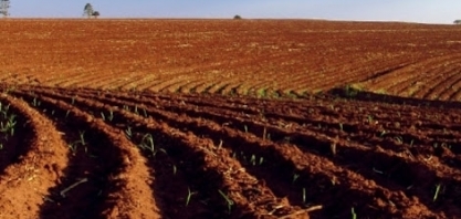 Canavicultor alagoano cria plantadora que consome de 3,5 a 4,5 ton/cana/ha