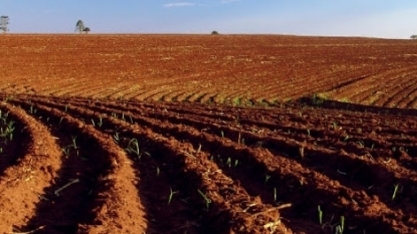 Canavicultor alagoano cria plantadora que consome de 3,5 a 4,5 ton/cana/ha