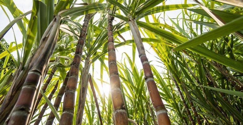 Imagem Ilustrativa - Foto: Reprodução