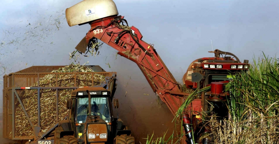 A StoneX projeta um mix açucareiro de 45%, levando a produção de açúcar para 34,2 milhões de toneladas, alta de 2,1% na comparação com o ciclo anterior (Imagem: REUTERS/Paulo Whitaker)