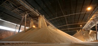 Safra canavieira 22/23 terá volume de açúcar suficiente para atender mercado interno e externo?