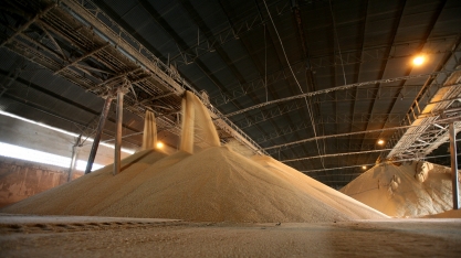 Safra canavieira 22/23 terá volume de açúcar suficiente para atender mercado interno e externo?