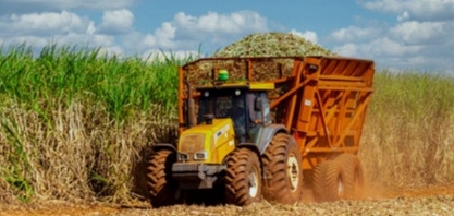 Safra mineira de cana-de-açúcar deve cair 7% neste ano