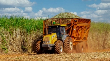 Safra mineira de cana-de-açúcar deve cair 7% neste ano