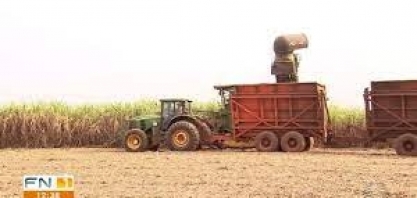 Lei proíbe usinas de usar fogo em plantações de cana-de-açúcar