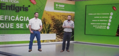 BASF lança Entigris, seu inseticida inovador para o manejo da cigarrinha das raízes em cana-de-açúcar