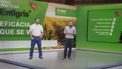 BASF lança Entigris, seu inseticida inovador para o manejo da cigarrinha das raízes em cana-de-açúcar