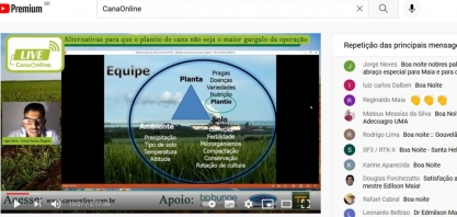Com plantio 100% manual de cana, a Usina Santa Ângelo consegue taxa de falhas de menos de 1%